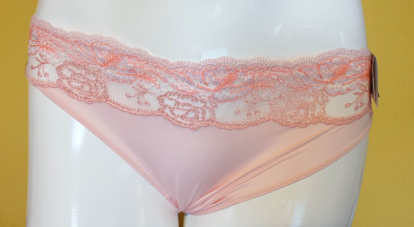 PrimaDonna Delight Rioslip summer rose