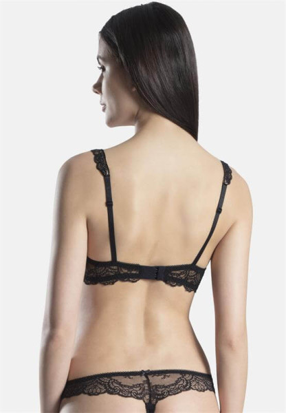 Danse des Sense Halbschale