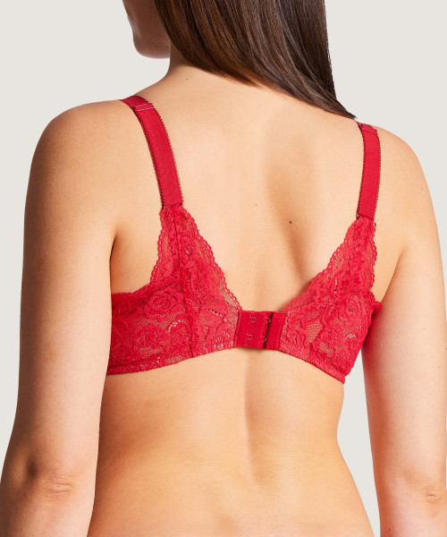 Aubade ROSESSENCE Komfort Triangle Push-Up